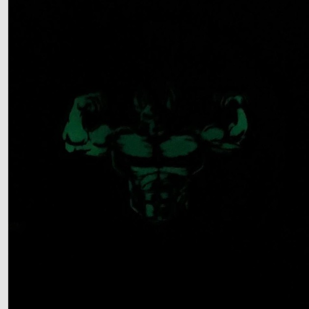 Big Dawg Xolo Glow-in-the-Dark Patch - Image 2